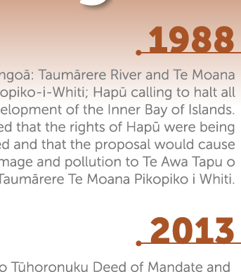 Our Ngati Hine Journey